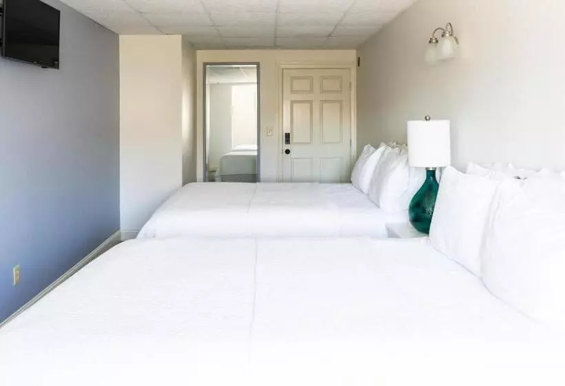 هاستل Rhea S Inn