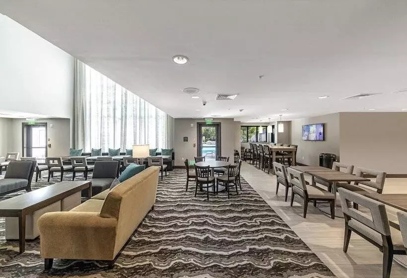 Hotelli Staybridge Suites   Naples   Marco Island, An Ihg