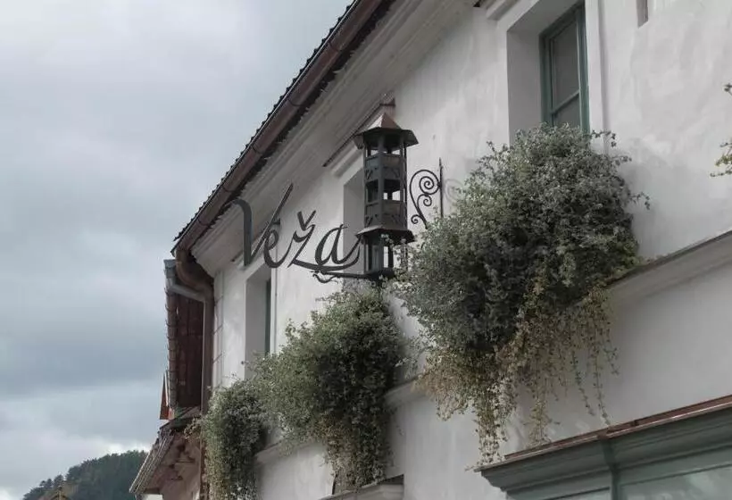 Majatalo Penzion Veza