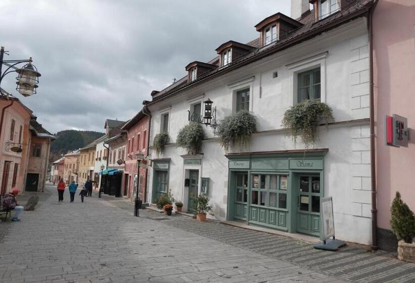 פנסיון Penzion Veza