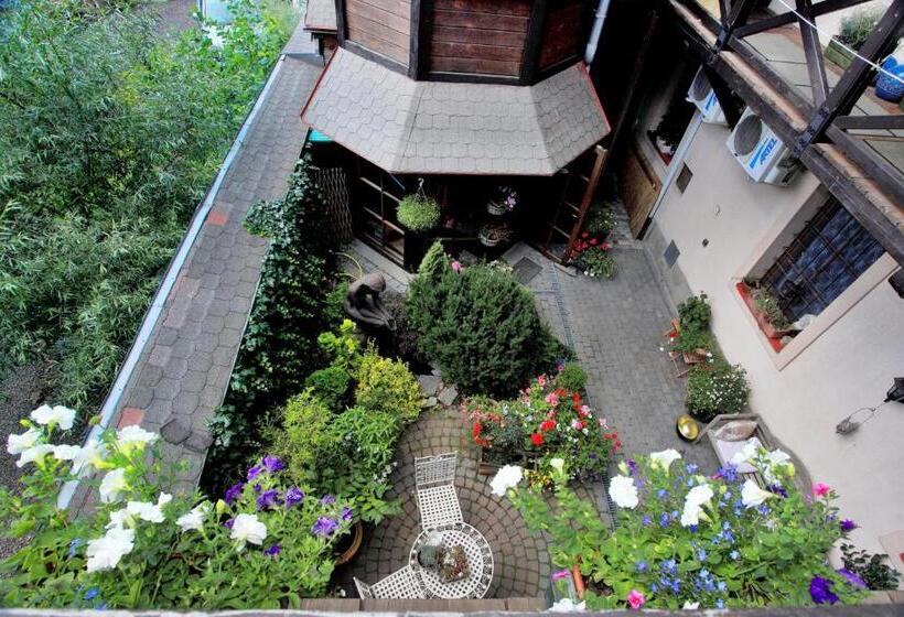 פנסיון Penzion Veza