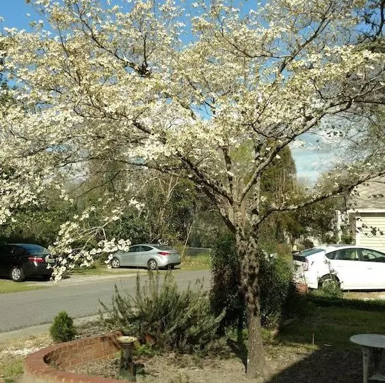 Baker Street Bed And Breakfast