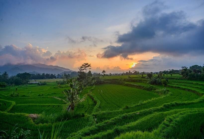 민박 Patal Kikian Villa