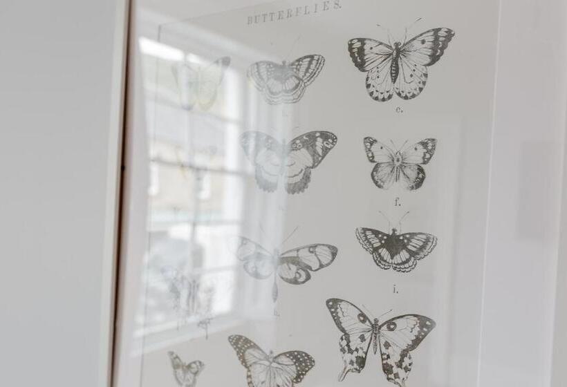 Dollar Apartments At 41