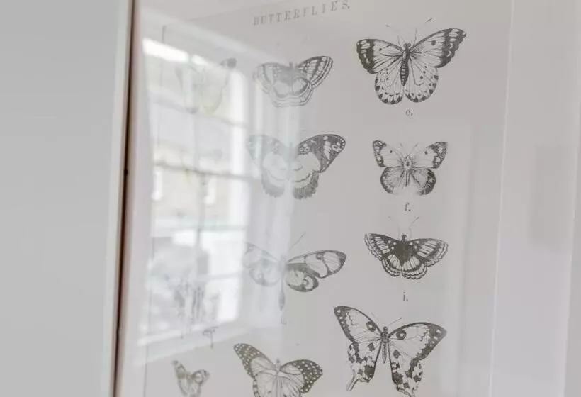 Dollar Apartments At 41