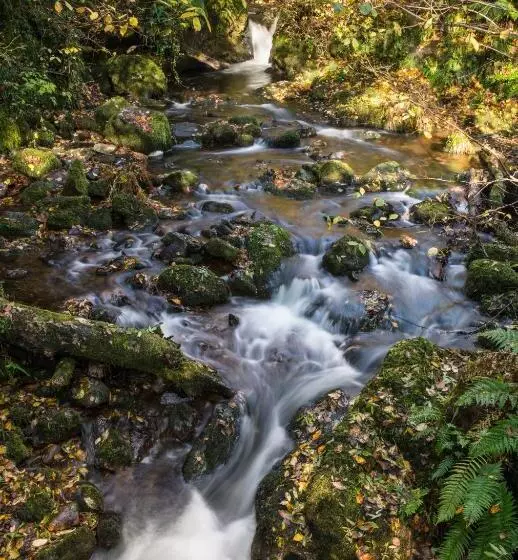 Dollar Apartments At 41