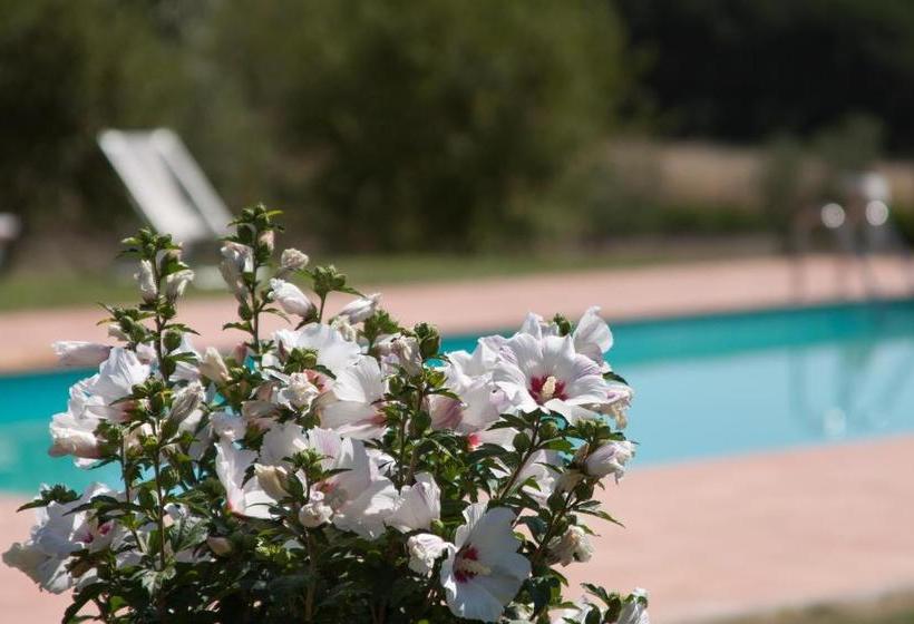 פונדק Agriturismo Brolio Quinto