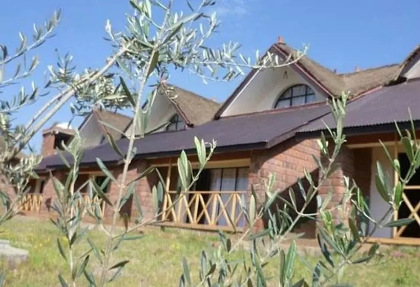 مسافرخانه Lalibela Lodge