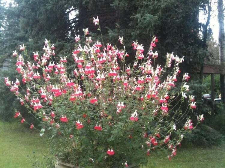 هتل Abbey Archway Inn