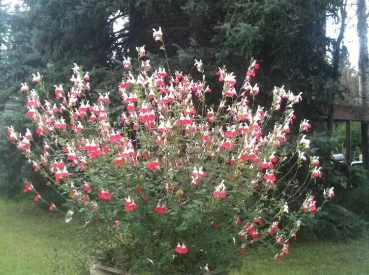 Hotelli Abbey Archway Inn