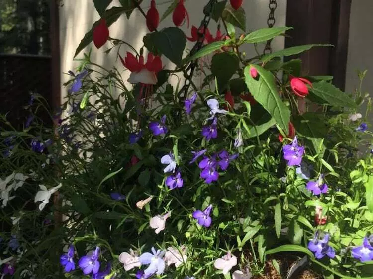 Hotelli Abbey Archway Inn