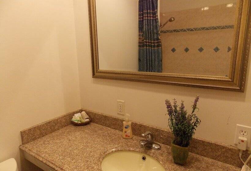 هتل Abbey Archway Inn