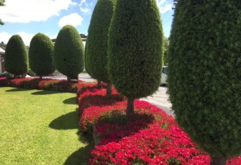 Отель Otorohanga Kiwi Holiday Park