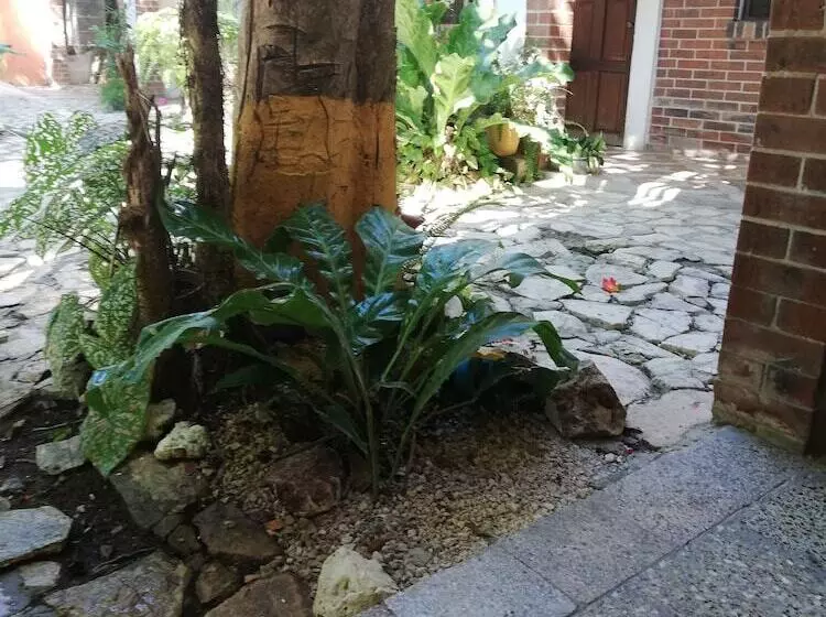 هتل Villa Los Arcos