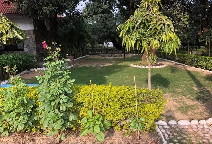 Jungle Leela Resort