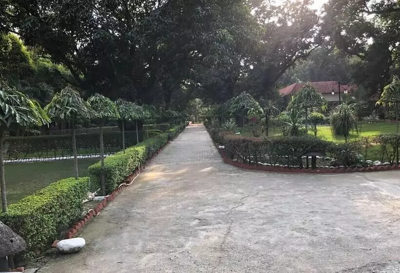 Jungle Leela Resort