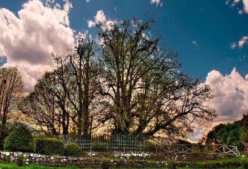 مسافرخانه Etna Dimora Dei Saponari