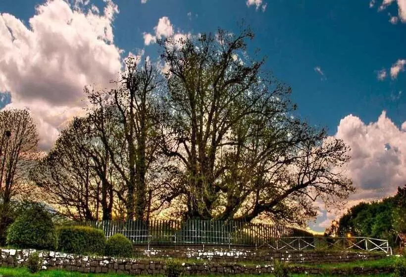 簡易ホテル Etna Dimora Dei Saponari