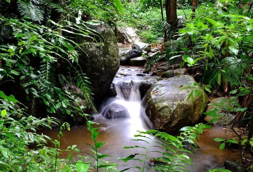 ホテル Baan Suphanbhum   Teddu Inn Maekampong