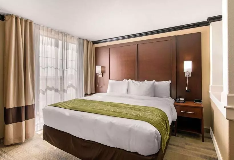 ホテル Comfort Suites