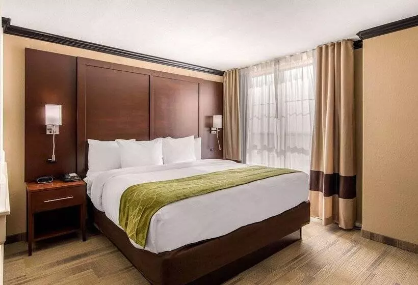 ホテル Comfort Suites
