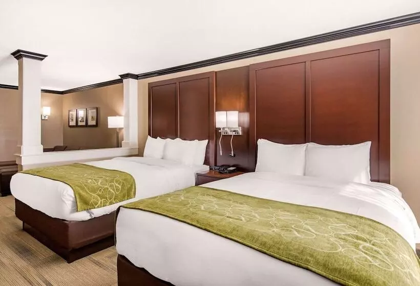 ホテル Comfort Suites