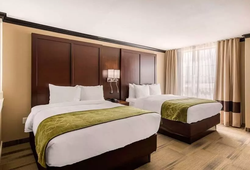 ホテル Comfort Suites