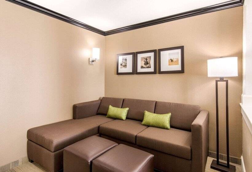 酒店 Comfort Suites