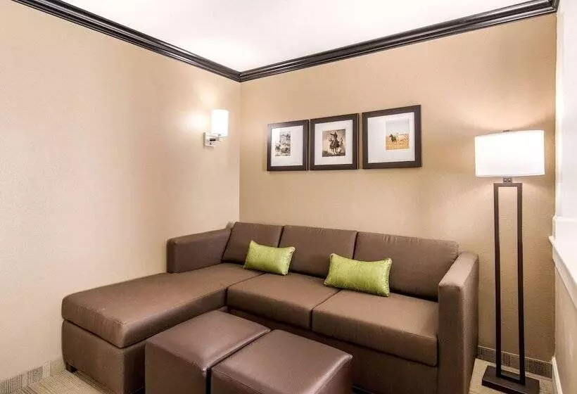 ホテル Comfort Suites