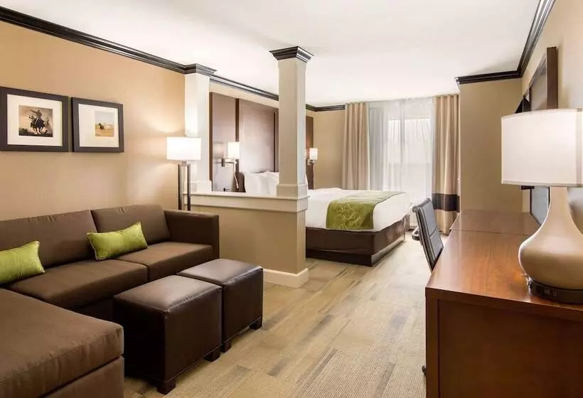 ホテル Comfort Suites