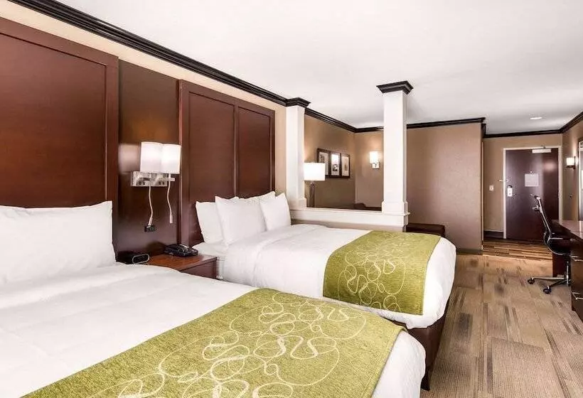 ホテル Comfort Suites