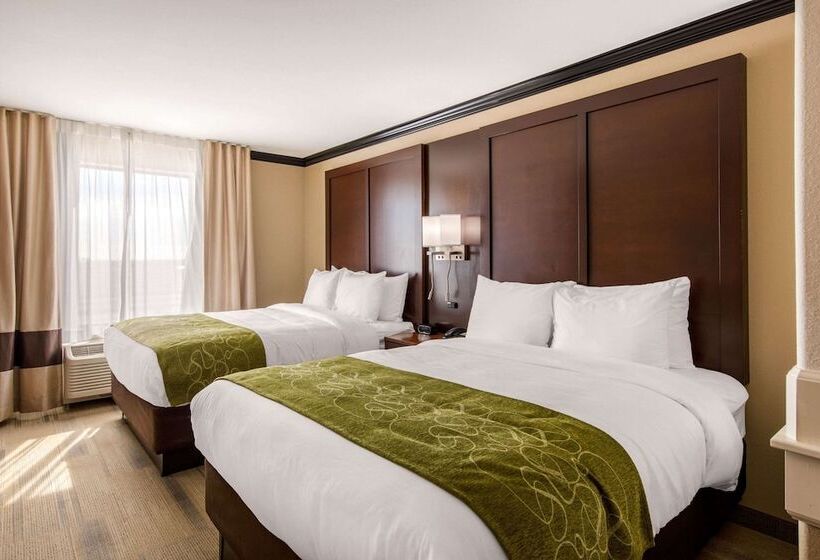 酒店 Comfort Suites