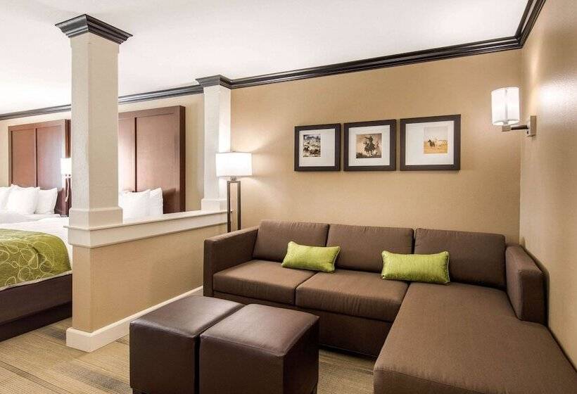 酒店 Comfort Suites