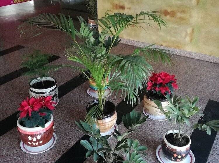 호텔 Dhanraj Palace