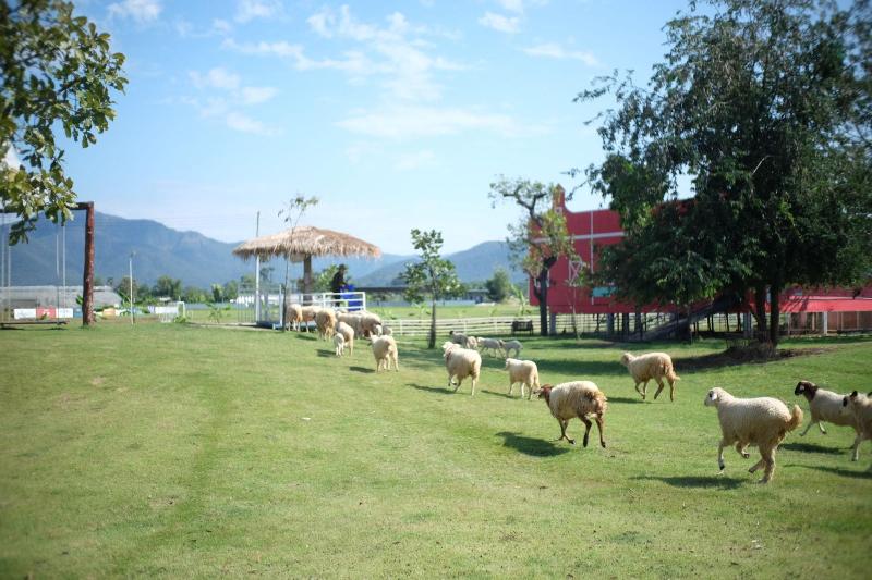 Szálloda Inursing  Resort Oonvalley Chiangmai