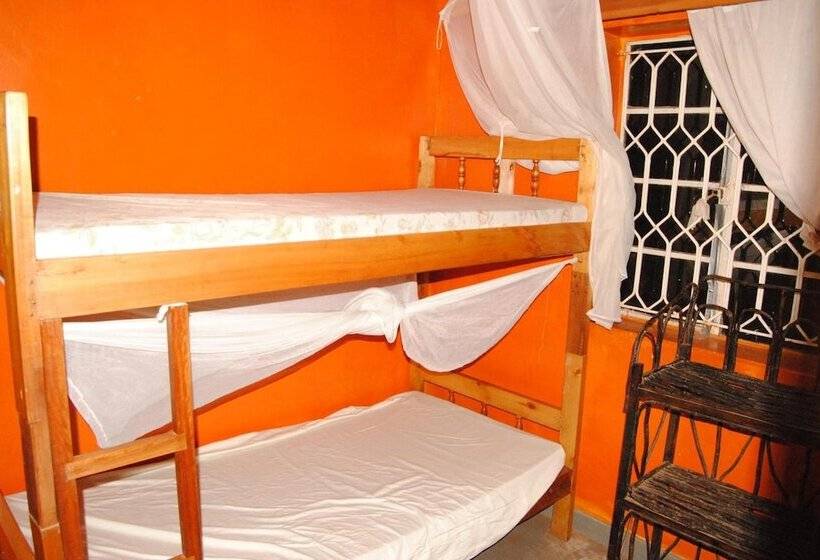 هتل Kabale Backpackers