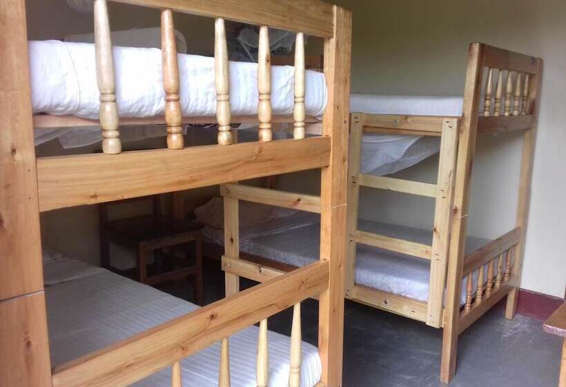 هتل Kabale Backpackers