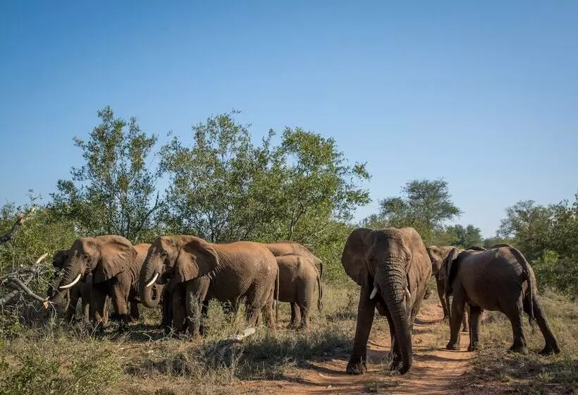 Hotelli Little Garonga