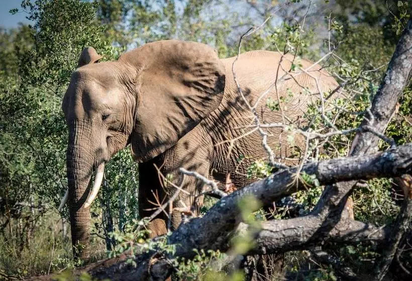 Hotelli Little Garonga