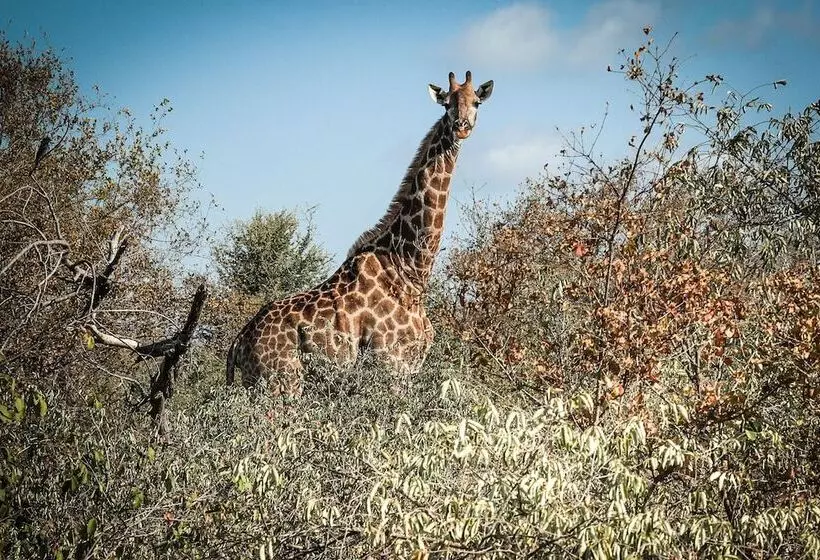 Hotelli Little Garonga