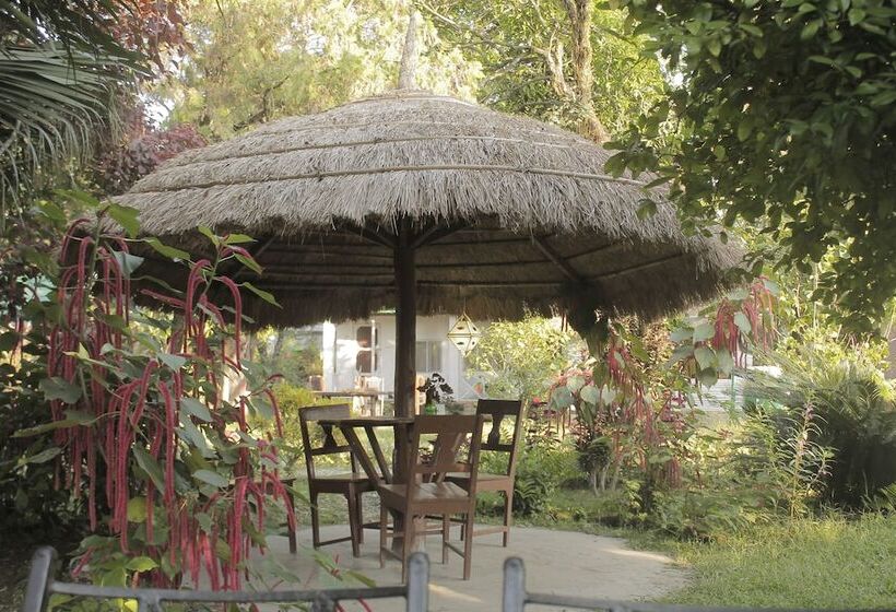 هتل Nature Safari Camp