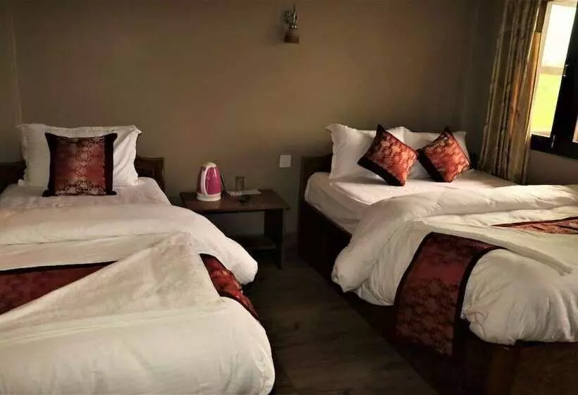 هتل Sauraha Boutique Resort