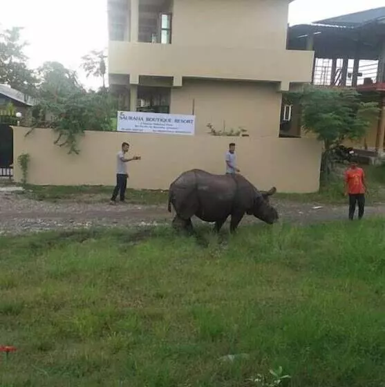 هتل Sauraha Boutique Resort