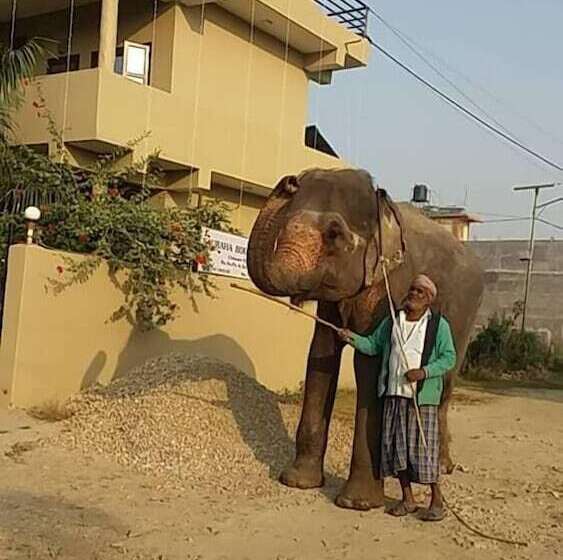 هتل Sauraha Boutique Resort