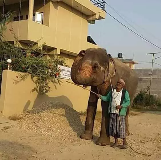 هتل Sauraha Boutique Resort