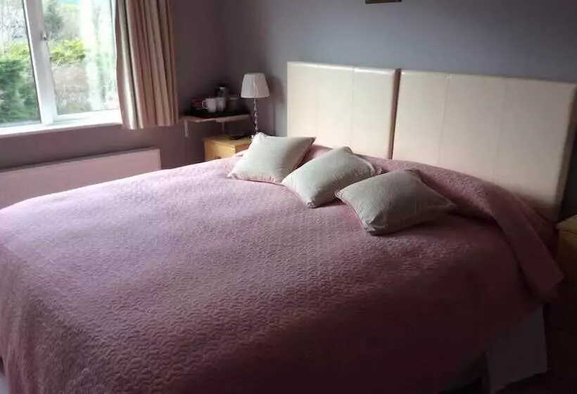 Aamiaismajoitus (B&B) Ardrinane House