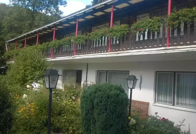 Hotelli Wiedaer Hütte