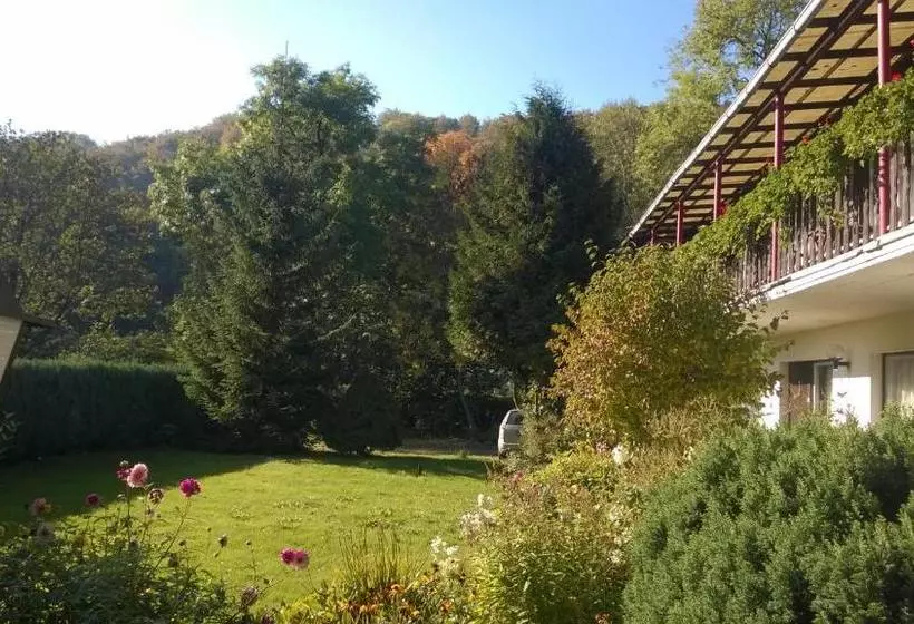 Hotelli Wiedaer Hütte