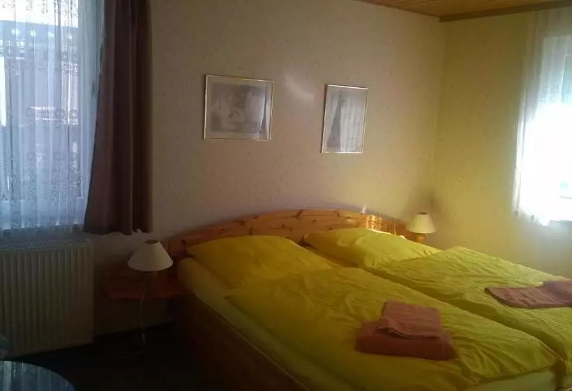 Hotelli Wiedaer Hütte