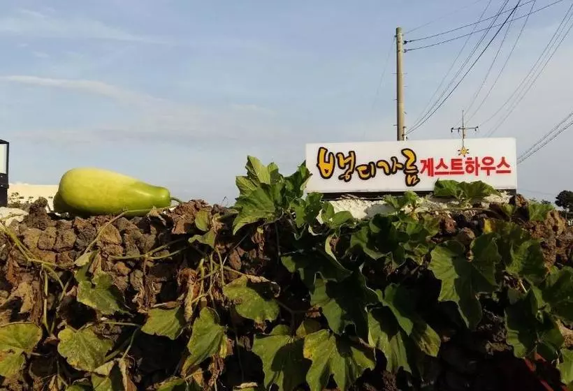 Majatalo Bangdigareum B&b